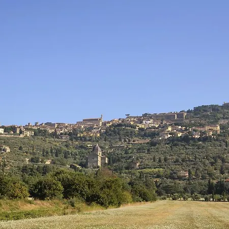 Emma - Serena Tuscany Homes
